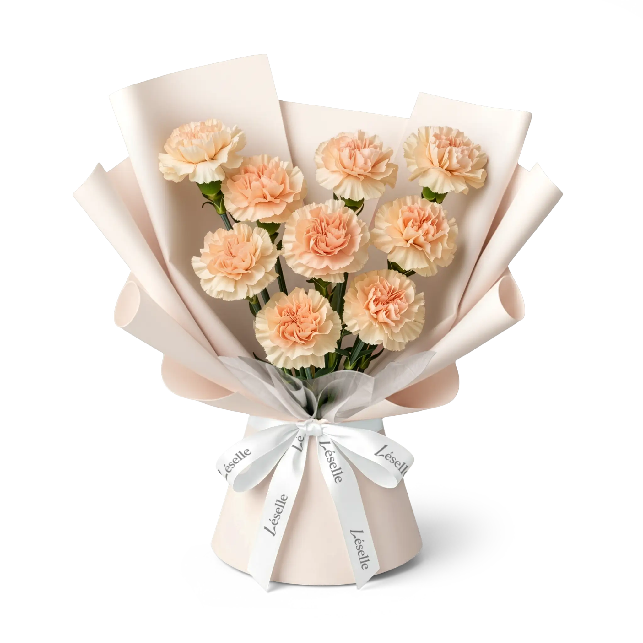 Bouquet of peach carnations wrapped in nude pink paper with a white ribbon on a transparent background