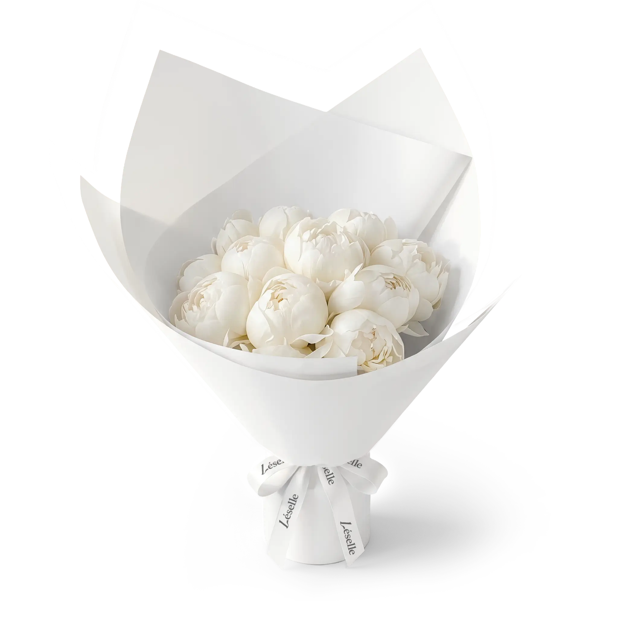 Bouquet of white peonies wrapped in white paper with a white ribbon on a transparent background