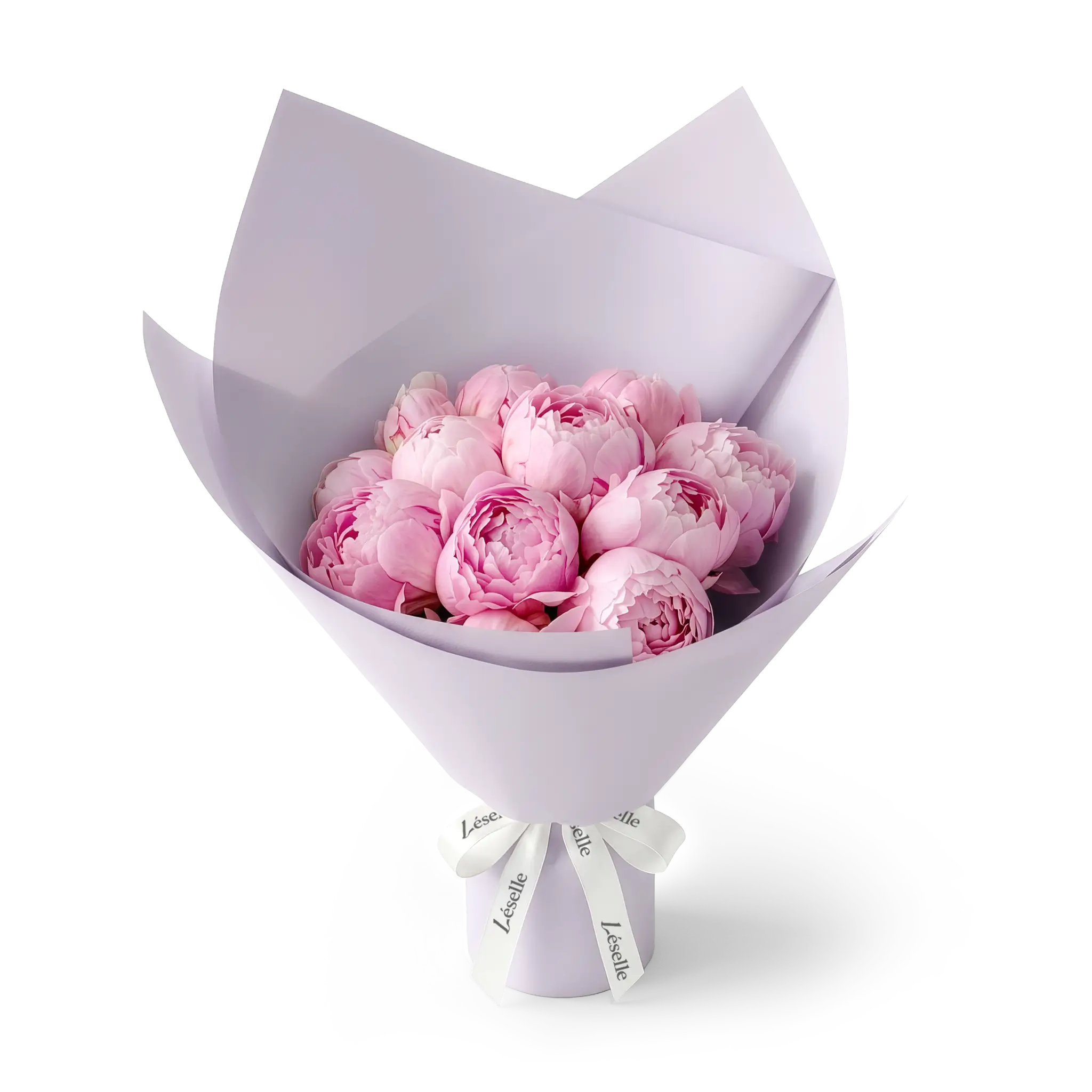 Bouquet of pink peonies wrapped in lavender paper with a white ribbon on a transparent background