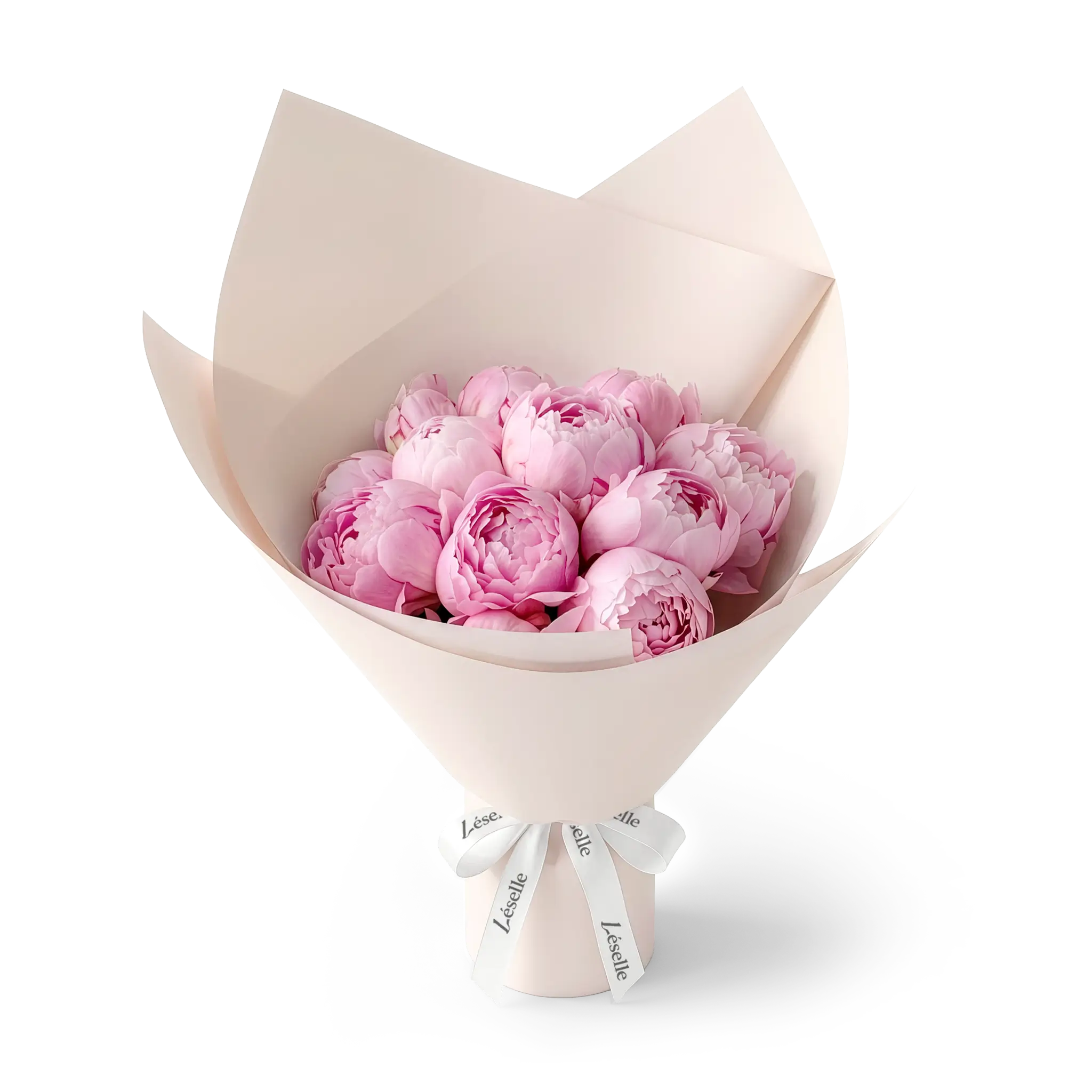 Bouquet of pink peonies wrapped in pink paper with a white ribbon on a transparent background
