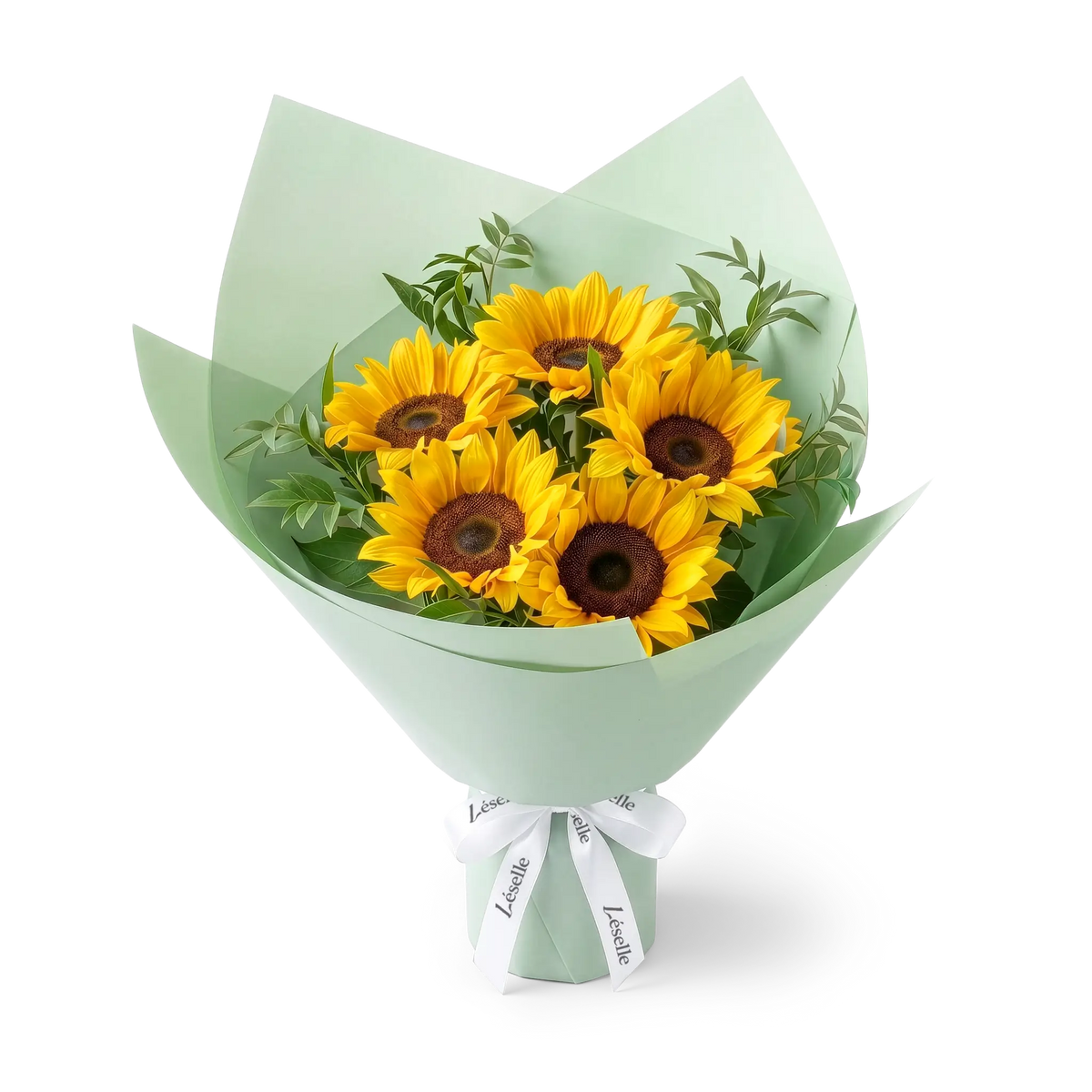 Bouquet of black-heart sunflowers wrapped in pale green paper with a white ribbon on a transparent background