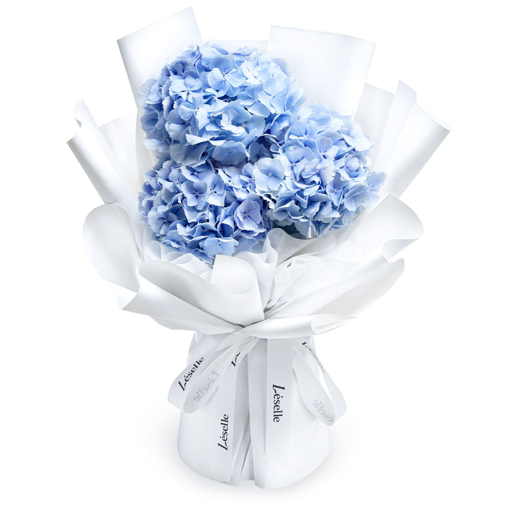 Fresh Flower Bouquet - Azure Blue Hydrangea (M)